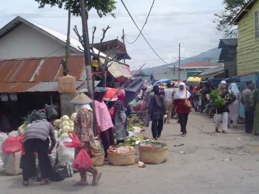 Aktivitas pasar Padang Lua (Net)
