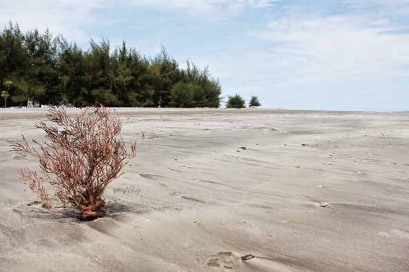 Pantai Pulau Ujuang dan Pulau Tangah. Sumber foto : Bayu Haryanto