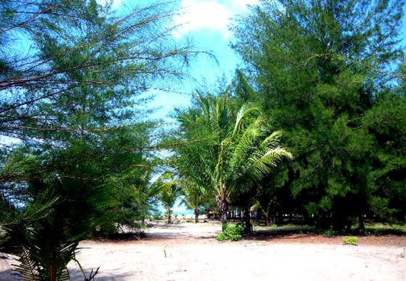 Pantai Bandar Mutiara. (MSM)
