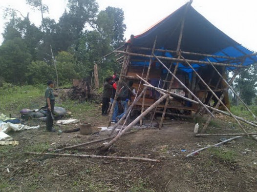 Kadis Kehutanan Pemkab Pasbar Syahnan turun langsung memimpin razia. (M Junir)