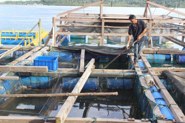 Nelayan di Sikakap Kepulauan Mentawai (Foto puailiggoubat.com)