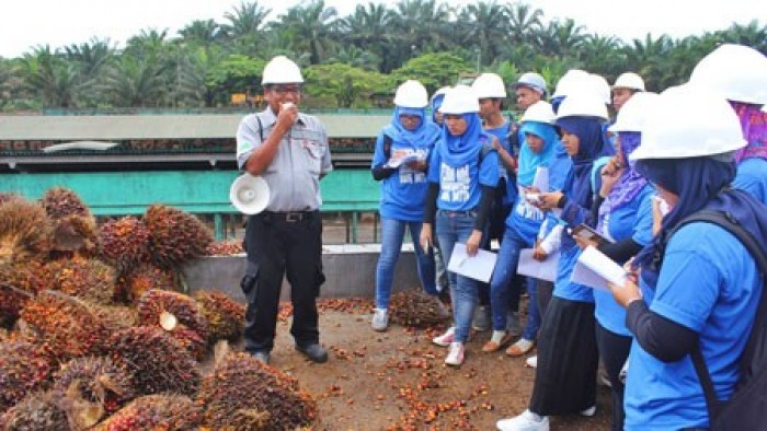 Mahasiswa UBH praktek lapangan ke pabrik PT BPSJ  (Foto kabarkampus)