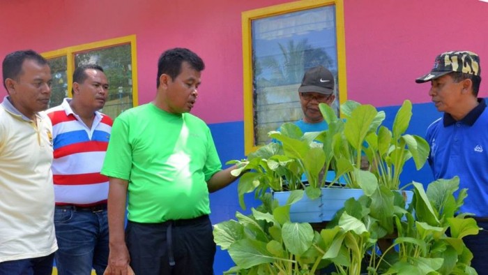 Walikota Mukhlis meninjau taman desa
