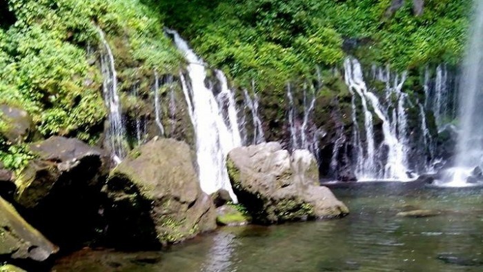 Burai burai di Malalak