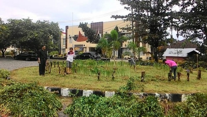 Taman Kota di Bundaran Padang Baru Lubuk basung, sedang dikerjakan degnan tenaga goro Distan Agam