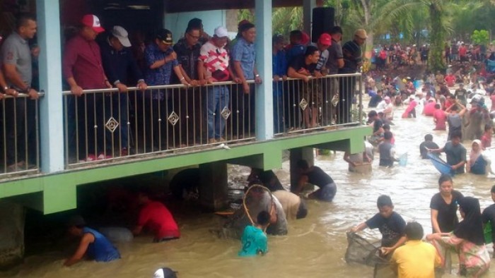 Kendati hujan mengguyur, masyarakat ranah Nagari Kunangan Parit Rantang,  Kecamatan Kamang Baru, Sijunjung, tetap antusias mengikuti tradisi panen raya ikan larangan di Wahana Wisata Telabang Sakti, sebuah objek wisata, Minggu (19/8/2018). 