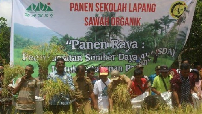 Panen raya padi organik di lahan seluas 1 hektare di Jorong Ujuang Luak, Nagari Sumpur Kudus, Kecamatan Sumpur Kudus, Kabupaten Sijunjung yang dihadiri pejabat di lingkungan OPD Sijunjung, para pengurus KKI Warsi, dan mitra petani lainnya. (Foto Dok KKI Warsi)