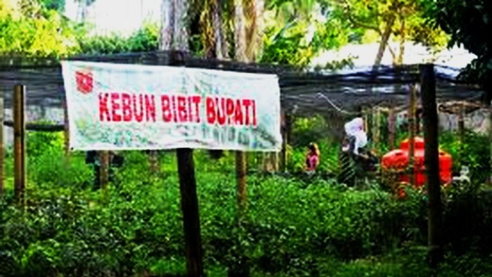 Banyak kalangan yang bertanya-tanya, bagaimana nasib Program Agam Menyemai begitu usai masa jabatan H. Indra Cari Dt. Malako Nan Putiah.