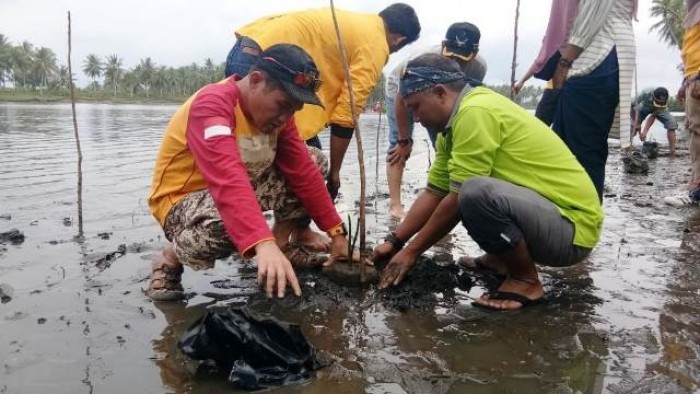 
 

Kepada Dinas LH Pemkab Pasaman Barat bersama penggiat lingkungan dan mahasiswa KKN melakukan penananam pohon Cemara di Pantai Maligi Kabupaten Pasaman Barat. (sutan junir)
