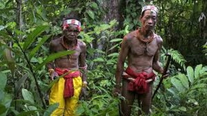 Masyarakat adat Siberut hidup serasi dengan hutan (© YCMM)