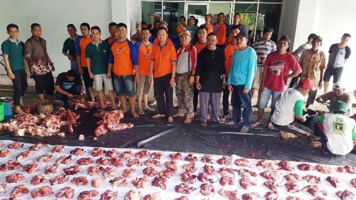 Bank Nagari Simpang Empat melakukan penyembelihan hewan kurban sebanyak empat ekor sapi di Kantor Bank Nagari Simpang Empat, Minggu (11/8/2019). 
