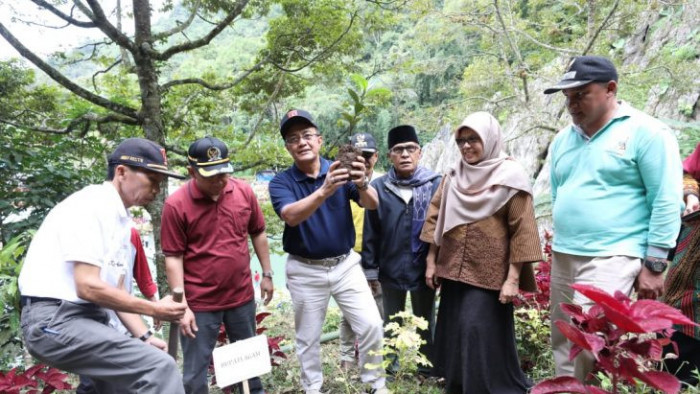 Ratu Kamang, manggis unggul dari Nagari Kamang Hilir, Kecamatan Kamang Magek (Kamek), Kabupaten Agam