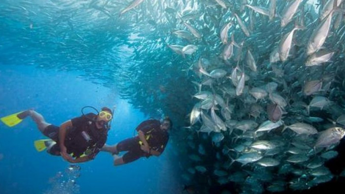 Foto: Balireefdivers