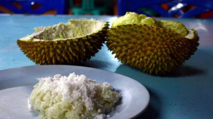 Katan durian