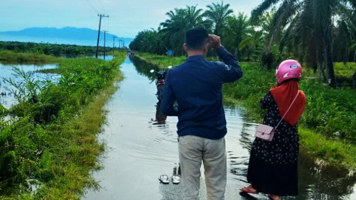 Akibat hujan berkepanjangan beberapa hari terakhir, kawasan Afdeling C Muaro Putuih, Nagari Tiku V Jorong, Kecamatan Tanjung Mutiara, Kabupaten Agam, kembali direndam banjir.