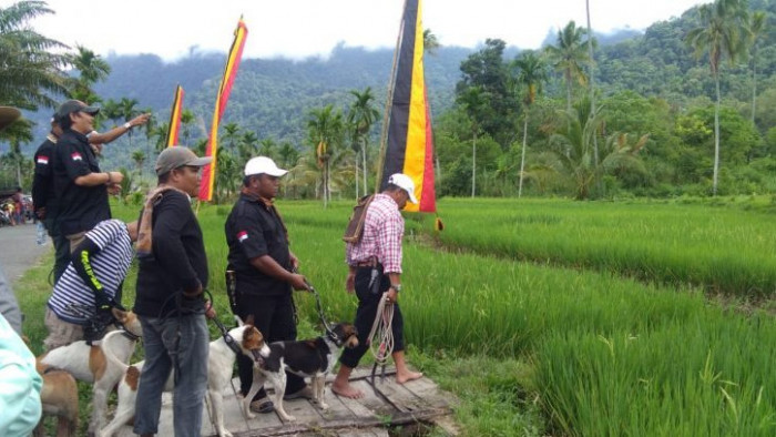 Buru Babi Usaha Kerajinan Kalung Anjing Dan Kebahagian