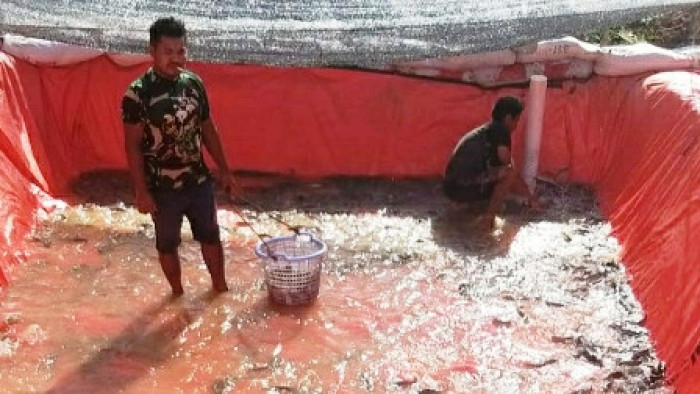 Rohmad Iswahyudi, Koordinator Penyuluh Perikanan Sijunjung, Badan Riset dan Sumber Daya Manusia (BRSDM) Kementerian Kelautan dan Perikanan, mis (3/6/2021).

