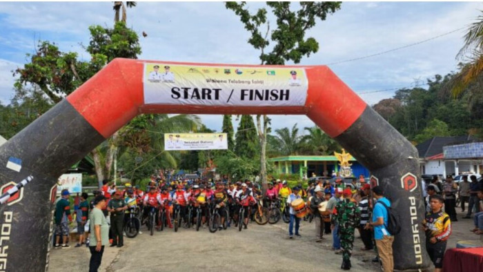 gowes