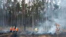 Kebakaran Hutan Pinus Dipadamkan Secara Manual