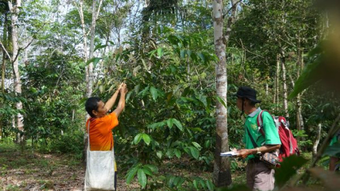 Pendekatan LPHN kepada buruh pengangkut kayu (logger)