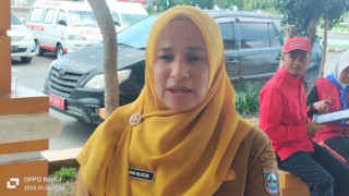 247 Warga Kena DBD, Dinkes Pasbar Himbau Lakukan 3M Plus