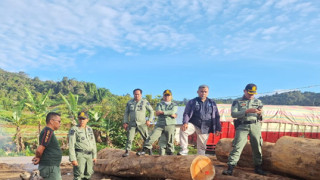 Pengusaha Kayu Gagal Lolos, Hakim Tegaskan Penetapan Tersangka Sah