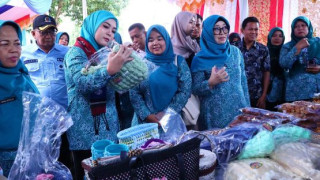 Kiprah Dasa Wilma Anggrek 1 Kelurahan Bulakan Balai Kandi Mencuri Perhatian 