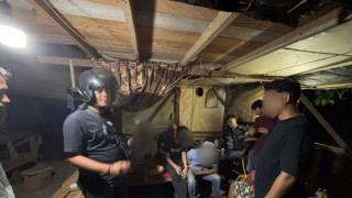 Satnarkoba Polres Pasaman Barat Tangkap Empat Lelaki Sedang Nyabu, Satu Anak Mantan Pejabat
