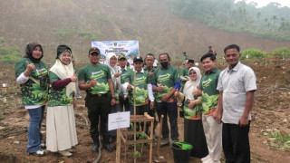 Pulihkan Lahan Kritis, Pemda dan KPHL Pasbar  Tanam Pohon Di Bukik Batang Tinggam