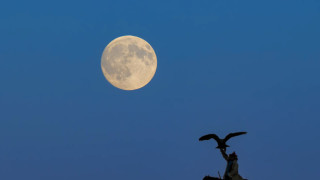 Hunter’s Moon Hiasi Langit 26 Oktober, BMKG Ingatkan Potensi Banjir Rob